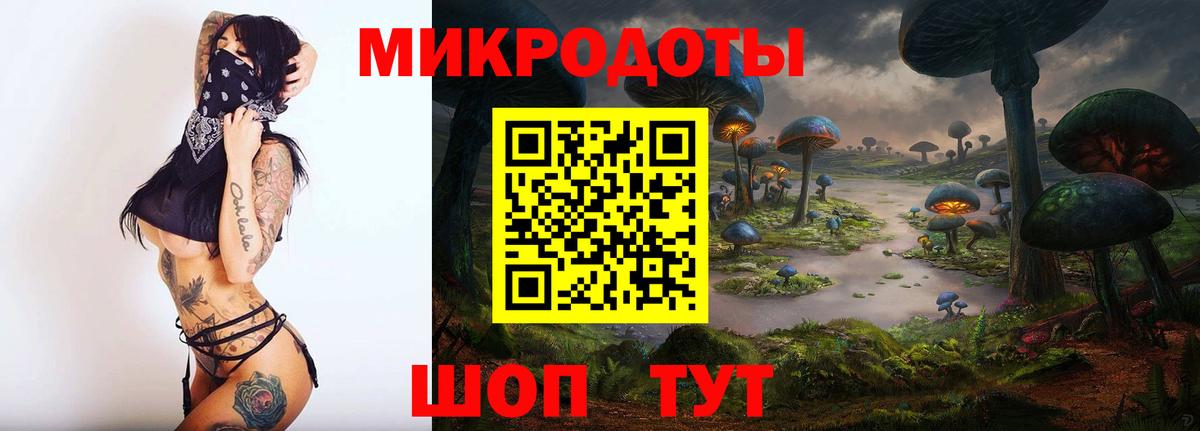 Псилоцибиновые грибы Psilocybe  Вход с VPN  Кореновск 